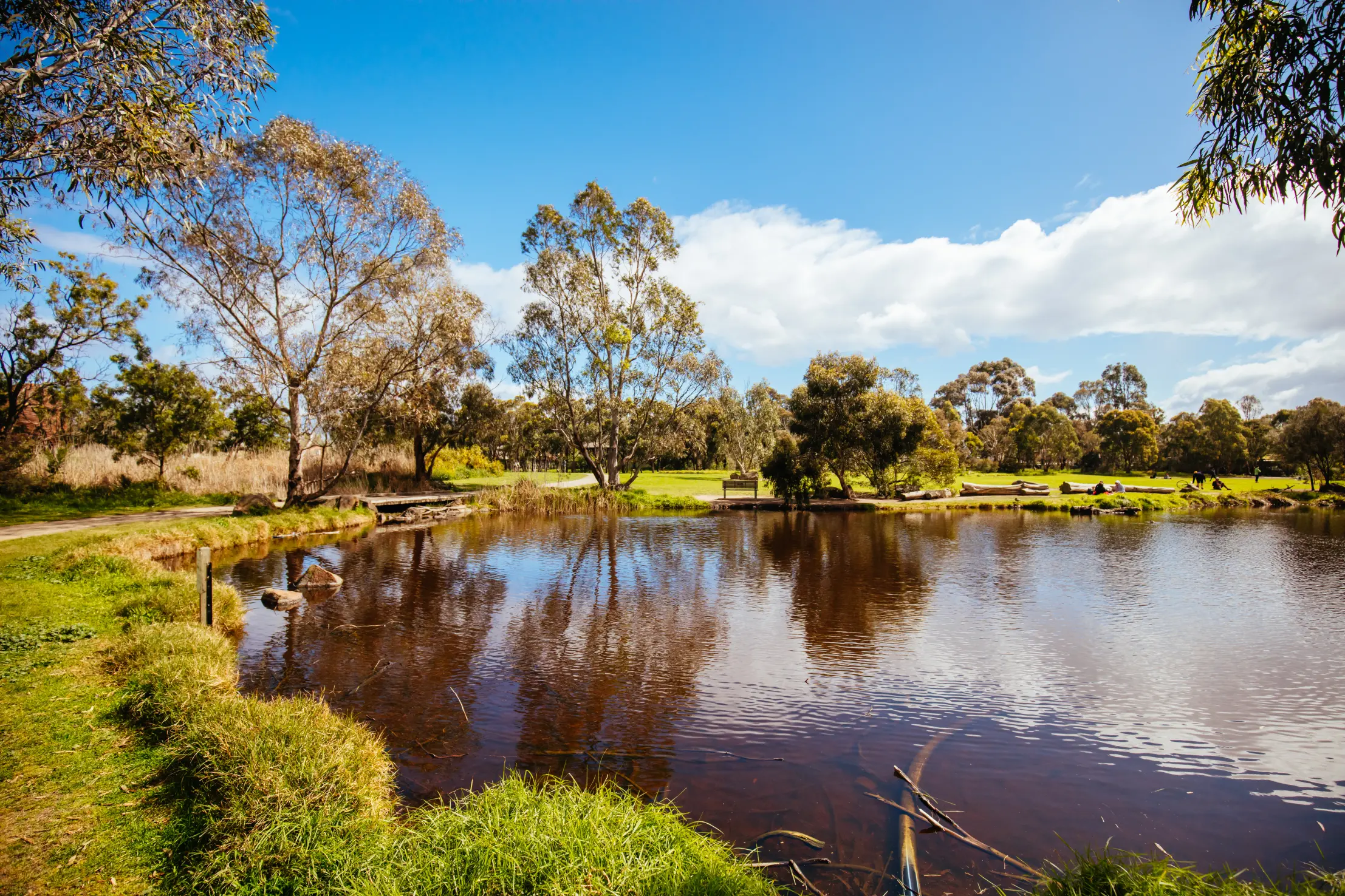 Scenic view of Darebin Parklands in Melbourne with trees and pond reflection